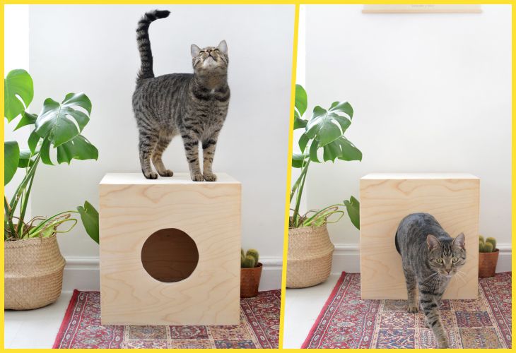 Как самостоятельно сделать домик для кошки