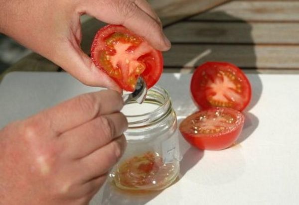 Как получить свои семена томатов?