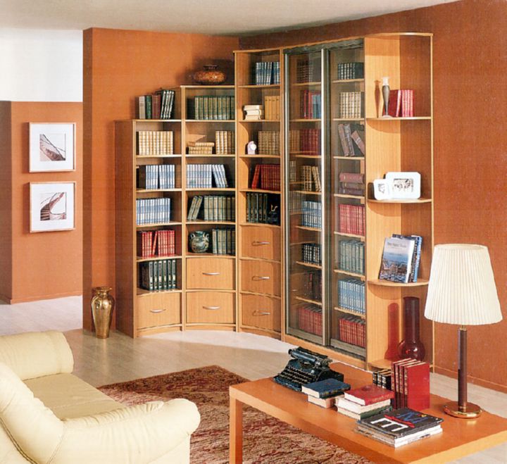 Книжные шкафы в комнату: как выбрать