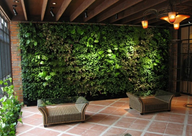 Зеленая стена – вертикальное озеленение